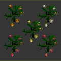 Decorative Plants With Green Leaves And Colorful Flowers Yellow Pink White Blooms On Curved Branches