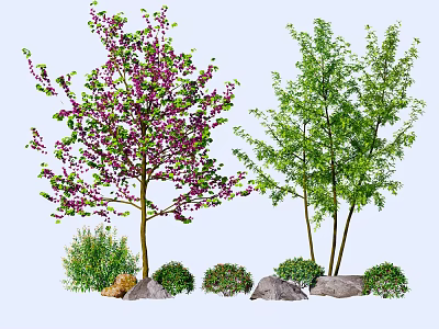 Flowering and Green Leaved Trees with Shrubs and Rocks in Natural Landscape 3d model