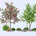 Flowering and Green Leaved Trees with Shrubs and Rocks in Natural Landscape