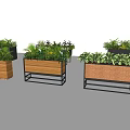 Variety of Bonsai Potted Plants in Wooden and Metal Planters for Home Decor