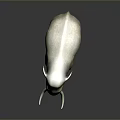 Green Brown Elephant Sculpture With Long White Tusks And Dark Background