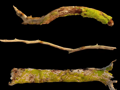 Natural Stone Wood Branches With Green Moss For Decorative Purposes 3d model
