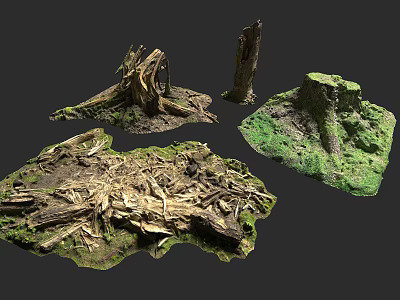 Natural Scene With Tree Stumps Moss Covered Dead Wood And Green Grass 3d model