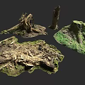 Natural Scene With Tree Stumps Moss Covered Dead Wood And Green Grass