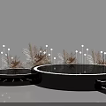 Black Circular Stage Design With White Lighting And Dried Plant Decorations