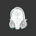 Woman 3D Model Head With Long Curly Hair And Black Glasses On Dark Background