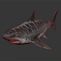 Realistic Striped Shark 3D Model With Sharp Teeth And Gray Skin 3d model