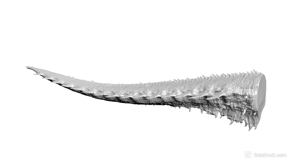 Long Segmented Skeletal Fossil With Intricate Spiked Texture And Rough Surface 3d model 