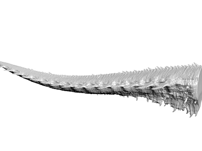 Long Segmented Skeletal Fossil With Intricate Spiked Texture And Rough Surface 3d model