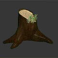 Natural Wooden Tree Stump Decorative Base Featuring Visible Growth Rings And Wooden Splinters