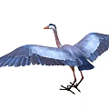 Great Blue Heron with Spread Wings Long Legs and Sharp Beak in Natural Stance 3d model