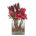 Decorative Ornament Set with Transparent Glass Vase Pink Magenta Flowers Green Leaves Pebbles Black Background