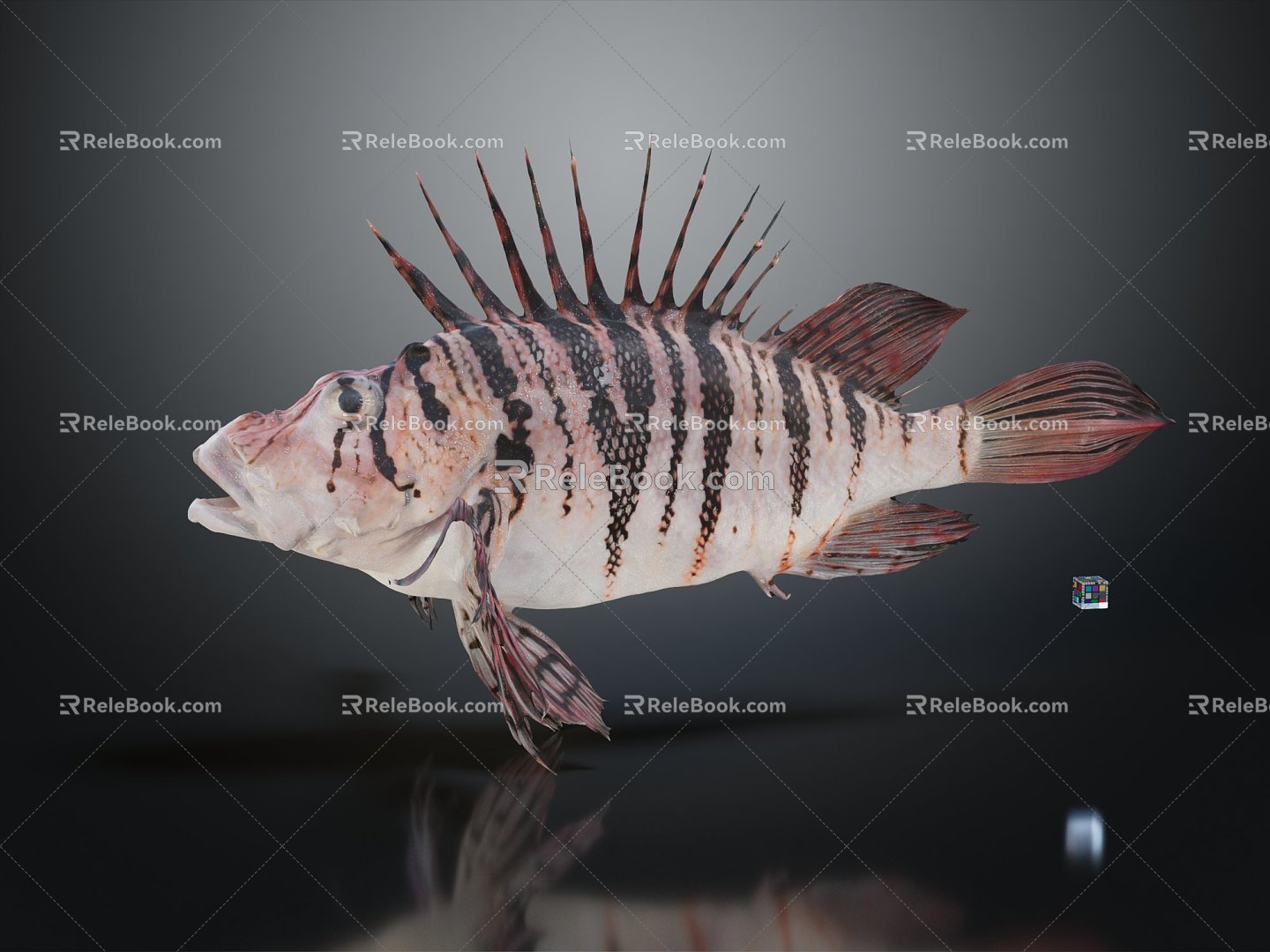 Modern Fish Moon Fish 3d model