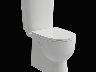 White Modern Toilet With Ceramic Body And Clean Simple Design 3d model