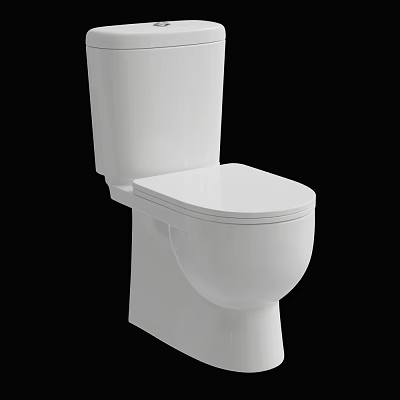 White Modern Toilet With Ceramic Body And Clean Simple Design 3d model