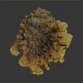 Organ And Hair Art Piece With Yellow Brown Fluffy Textured Irregular Structure