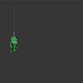 Green Hanging Plant Suspended In Circular Transparent Container With Gradient Gray Black Background And Reflection