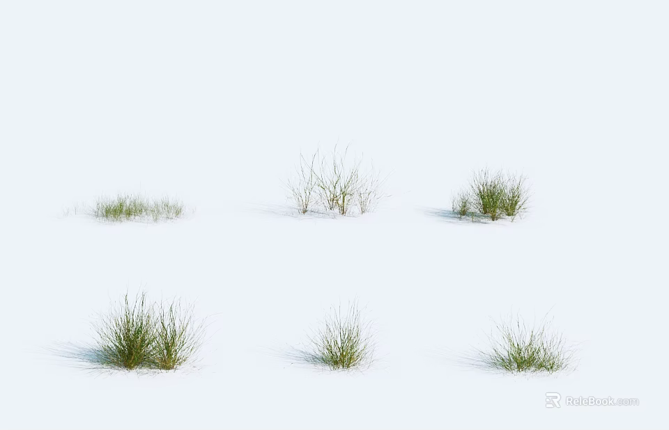 Six Clumps of Green Herbs in Different Forms Against Pure White Background 3d model 