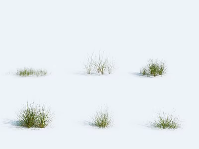 Six Clumps of Green Herbs in Different Forms Against Pure White Background 3d model