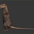 Standing Fictional Creature Character With Orange Ears Patterned Body And Outstretched Arms