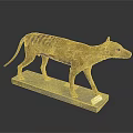 Tasmanian Tiger Detailed Preserved Taxidermy Specimen with Natural Features on White Display Base