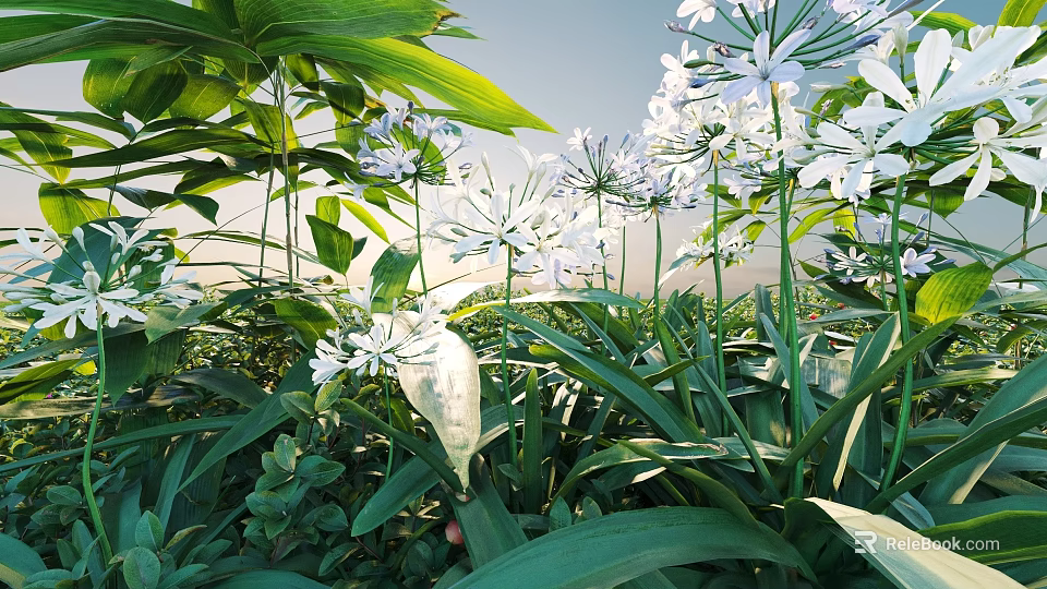 Shrubs With White Flowers And Green Leaves Thriving In Sunlit Outdoor Garden 3d model 