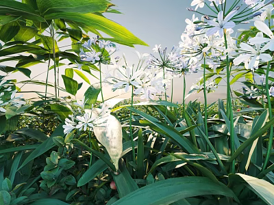 Shrubs With White Flowers And Green Leaves Thriving In Sunlit Outdoor Garden 3d model