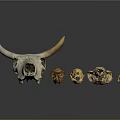 Animal Wall Decor Featuring Cow Skull and Small Animal Skulls for Home Decoration
