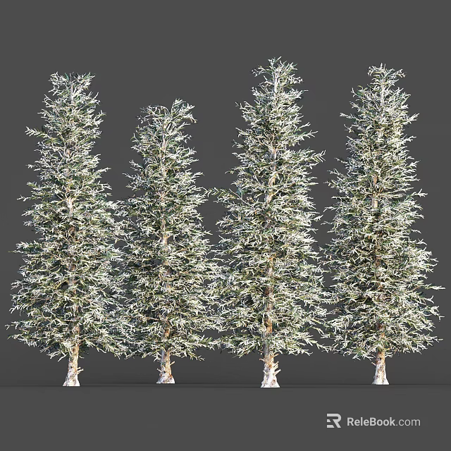 Four Tall Arbor Trees With Lush Foliage And Light Colored Trunks Arranged In A Row 3d model 