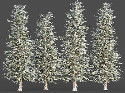 Pine Cedar Snowscape Trees Winter 3d model