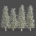 Four Tall Arbor Trees With Lush Foliage And Light Colored Trunks Arranged In A Row