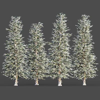Four Tall Arbor Trees With Lush Foliage And Light Colored Trunks Arranged In A Row 3d model