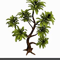 Lush Tree With Green Leaves Brown Trunk And Multiple Branches Against Black Background