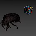 Detailed Vintage Beetle Specimen With Colorful Rubik's Cube On Gray Background