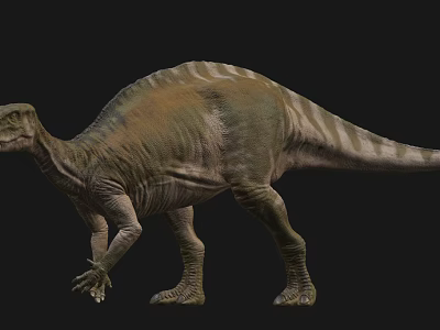 Sauropod Reptile With Green Brown Striped Body Standing On Dark Background 3d model