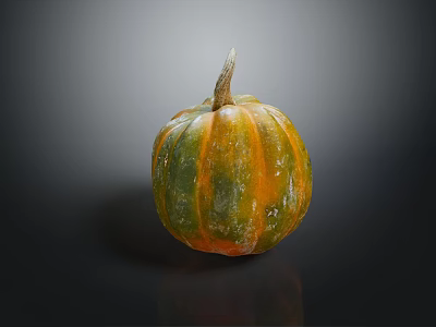 Fresh Single Green And Orange Striped Pumpkin With Natural Frosted Surface On Dark Background 3d model