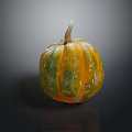 Fresh Single Green And Orange Striped Pumpkin With Natural Frosted Surface On Dark Background