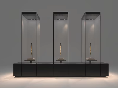 Cultural Center Transparent Glass Display Cases With Black Base And Illuminated Exhibits 3d model