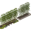 Bamboo 3d model