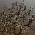 Dry Leafless Trees in Natural Forest Landscape with Shadowy Trunks and Branches 3d model