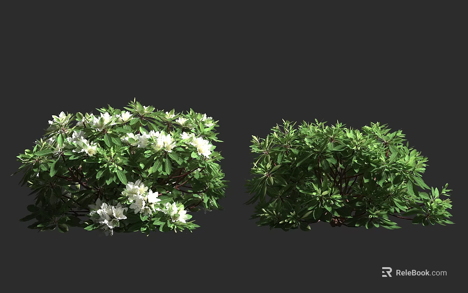Bushy Shrubs With White Flowers And Green Foliage For Garden Landscaping 3d model 