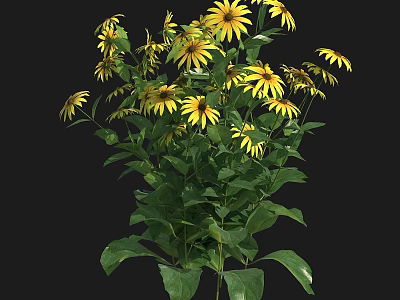 Decorative Vase Flower Arrangement With Fresh Yellow Blooms And Lush Green Leaves 3d model