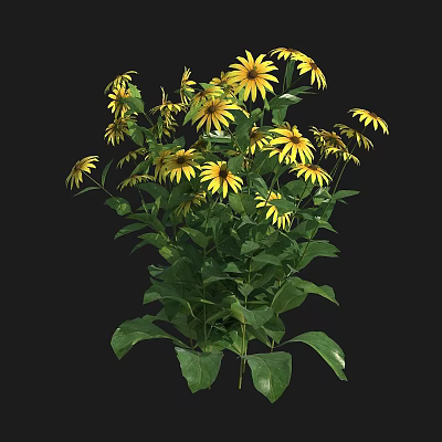 Decorative Vase Flower Arrangement With Fresh Yellow Blooms And Lush Green Leaves 3d model