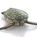Green and brown patterned sea turtle with detailed flippers in white background close-up view