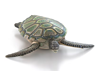 Green and brown patterned sea turtle with detailed flippers in white background close-up view 3d model