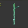 Green Bamboo Plant With Segments Shoots And Leaves At The Top