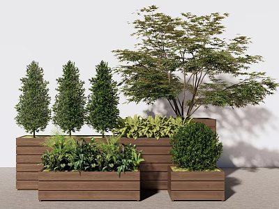 Wooden Flower Planters With Conical Trees Large Tree And Low Green Plants Arranged 3d model