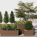 Wooden Flower Planters With Conical Trees Large Tree And Low Green Plants Arranged