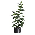 Modern Potted Plant Green Plant Landscape Green Plant Indoor Green Plant 3d model