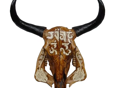 Carved Bull Skull Animal Wall Decor With Intricate Symbols And Floral Patterns 3d model
